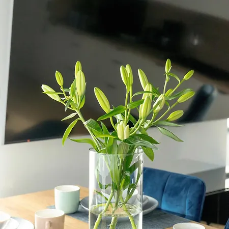 Apartamento Stylish Wyspa Solna By Renters Prestige Kołobrzeg